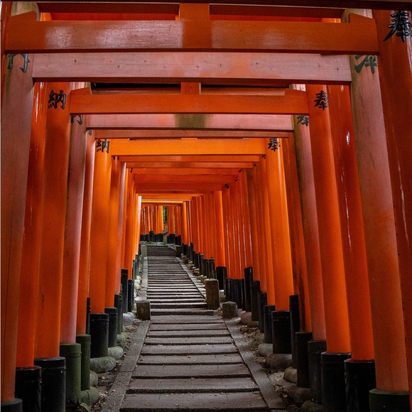 Tan stretchy shorts medium euc ona - Picture 3 of 8